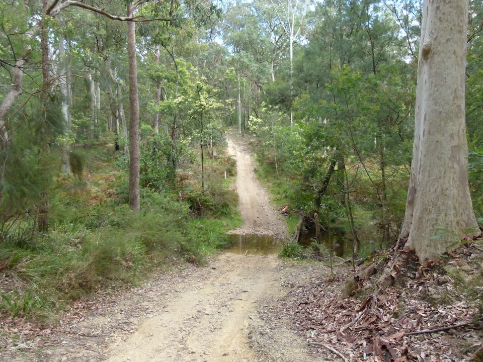 Trail marker at distance - Mogo
